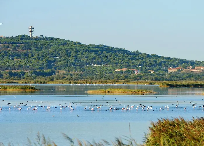 Lagrange Grand Bleu - Les Pescalunes Kompleks wypoczynkowy