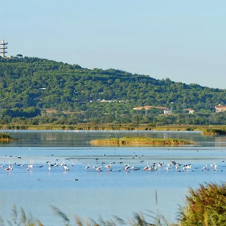 Lagrange Grand Bleu - Les Pescalunes 假日公园